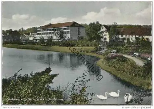 Bad Meinberg - Am Stausee - AK Grossformat 1957