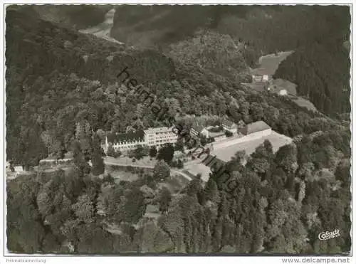 Laasphe - Schloss Wittgenstein - Realschule mit Internat - Luftbild - Foto-AK Grossformat