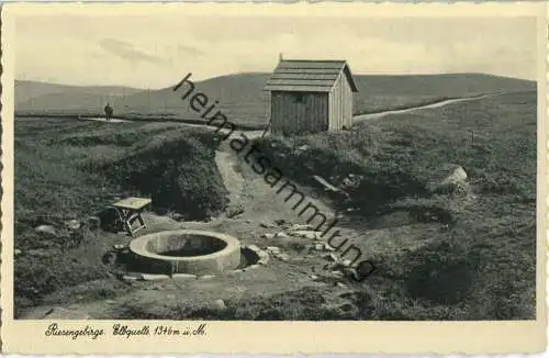 Elbquelle - Riesengebirge - Foto-Ansichtskarte - Verlag Paul Höckendorf Hirschberg