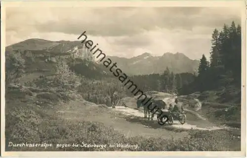 Durchkaseralpe - Pferdewagen - Foto-Ansichtskarte