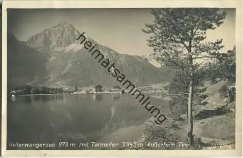 Heiterwangersee - Foto-Ansichtskarte - Verlag A. G. Schöllhorn München