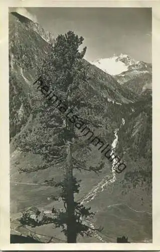 Krimmler Tauernhaus - Reichenspitze - Foto-Ansichtskarte - Verlag C. Jurischek Salzburg