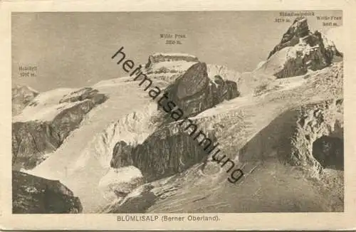 Blümlisalp - Postkarte Berner Oberland N°742 - Verlag Xaver Frey u. Co. Basel