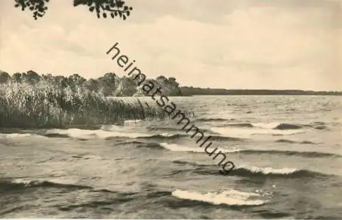 Arendsee - Der Arendsee - Foto-AK - Verlag VEB Bild und Heimat Reichenbach