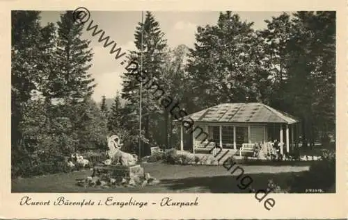 Bärenfels - Kurpark - Foto-AK - Verlag W. Kenne Dresden