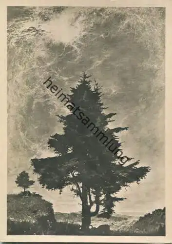 HDK515 - Willi Kriegel - Mittag - Verlag Heinrich Hoffmann Strassburg