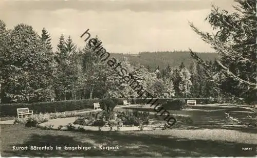 Bärenfels - Kurpark - Foto-AK - Verlag W. Kenne Dresden