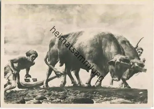 HDK562 - F. Staeger - Germanische Urbarmachung in den Ostlanden - Verlag Heinrich Hoffmann Strassburg