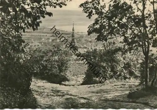 Solbad Frankenhausen - Blick vom Schlachtberg - Foto-AK Grossformat 50er Jahre - Verlag Kurt Görtz Frankenhausen