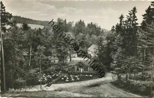 Mühltal - Die Froschmühle - Foto-AK - Verlag Lichtbild-Schincke KG Zeitz gel. 1960