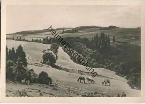 HDK - Gustav Traub - Abendschatten - Verlag Heinrich Hoffmann München