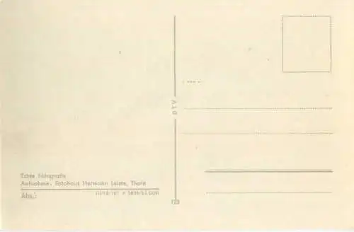 Thale - Hubertusstrasse - Foto-AK 50er Jahre - Verlag Hermann Leiste Thale