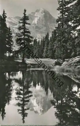 Grindelwald - Kohlenweiher - Foto-AK - Verlag R. Schudel Grindelwald (G49147)