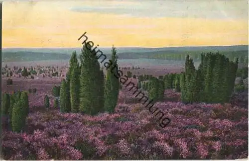 Lüneburger Heide - Am Steingrund in Wilsede - Verlag K. G. H. No. 921