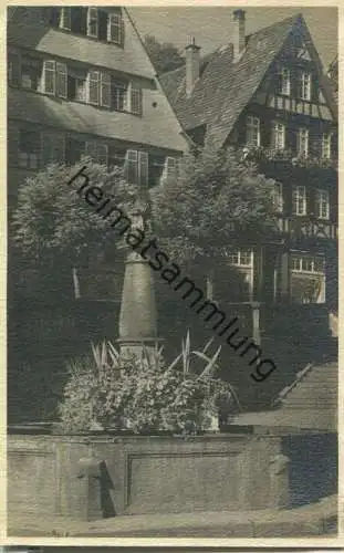 Calw - Brunnen mit dem Calwer Löwen - Foto-AK ohne Verlagsangabe ca. 1930