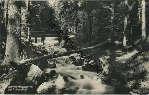 Schwarzwassertal - Antonsthal - Foto-AK - Posthilfstellenstempel - Verlag Franz Landgraf Zwickau