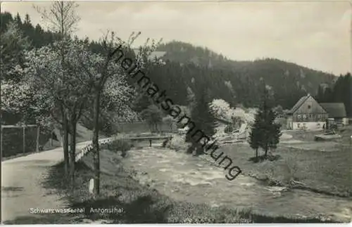 Schwarzwassertal - Antonsthal - Foto-AK - Posthilfstellenstempel - Verlag Franz Landgraf Zwickau