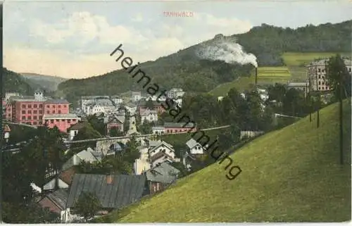 Tannwald - Gesamtansicht - Verlag R. Bartonitschek Tannwald