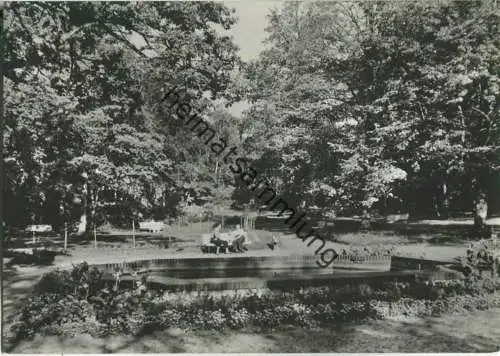 Bad Düben - Im Kurpark - Foto-Ansichtskarte Grossformat - VEB Bild und Heimat Reichenbach