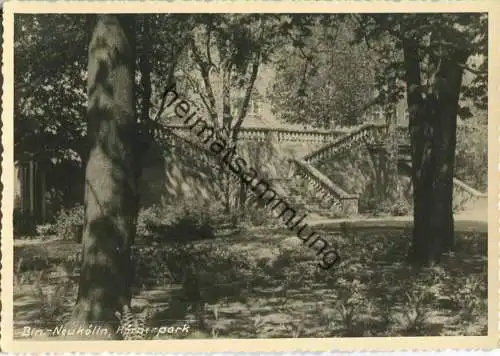 Berlin-Neukölln - Körnerpark - Foto-Ansichtskarte Handabzug - Verlag Bruno Schroeter Berlin 50er Jahre