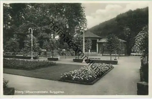 Triberg - Burggarten - Foto-Ansichtskarte