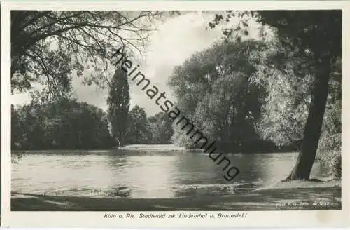 Köln am Rhein Stadtwald zwischen Lindenthal und Braunfeld - Foto-Ansichtskarte 30er Jahre - Verlag F. G. Zeitz Königssee