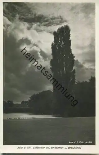 Köln am Rhein Stadtwald zwischen Lindenthal und Braunfeld - Foto-Ansichtskarte Jahre - Verlag F. G. Zeitz Königssee