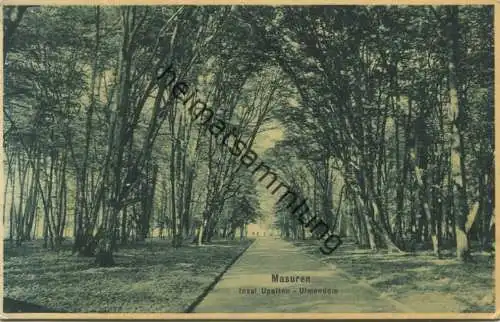 Masuren - Insel Uplaten - Ulmendom - Verlag Stengel & Co. Dresden - gel. 1926