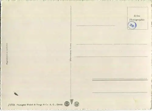 Zürich und die Alpen - Foto-Ansichtskarte Grossformat - Verlag Photoglob-Wehrli & Vouga & Co. AG Zürich 40er Jahre