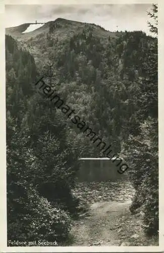 Feldberg - Feldsee - Seebuck - Foto-Ansichtskarte - Verlag Mayer & Schladerer Feldbergerhof