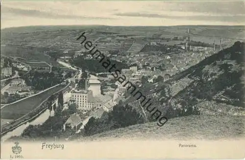 Freyburg - Verlag G. Friedrich Leipzig