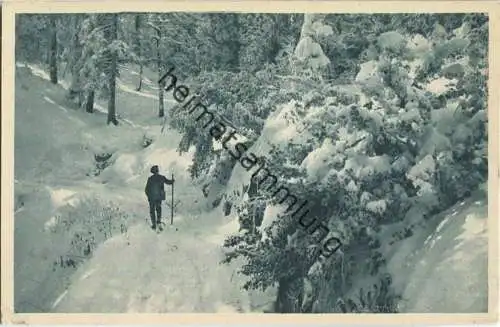 Feldberg - Im Köpflewald - Verlag Mayer & Schladerer Feldbergerhof