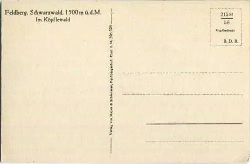 Feldberg - Im Köpflewald - Verlag Mayer & Schladerer Feldbergerhof