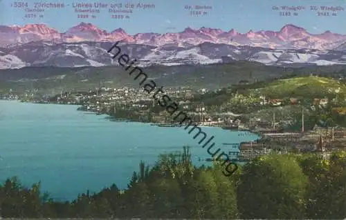 Zürichsee - Linkes Ufer gel. 1924