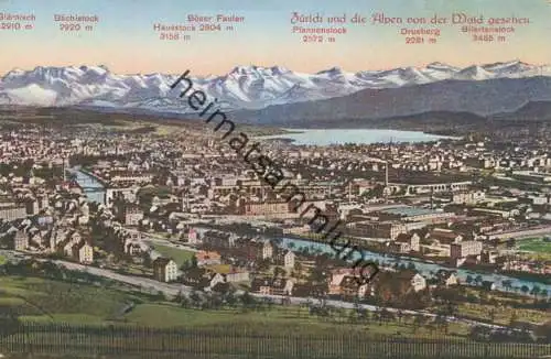 Zürich und die Alpen von der Waid gesehen gel. 1926