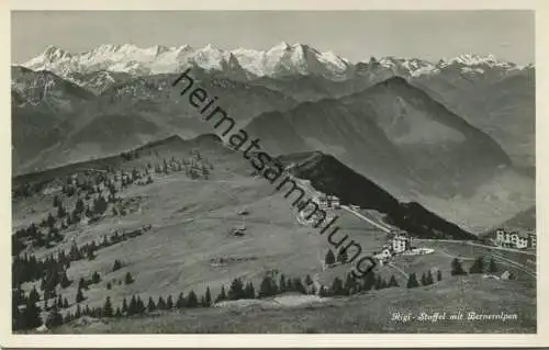 Rigi-Staffel mit Berneralpen - Foto-AK - Verlag E. Goetz Luzern