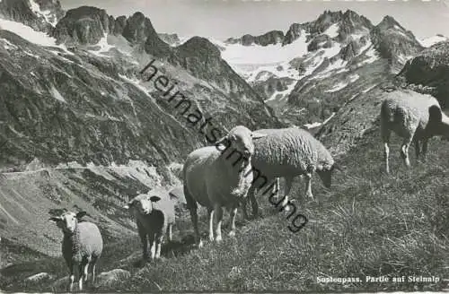Sustenpass - Steinalp - Foto-AK - Verlag Photoglob-Wehrli AG Zürich - gel. 1963