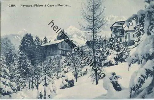 Caux - Paysage d'hiver - Verlag Phototypie Neuchatel