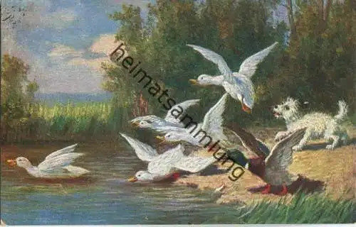 Enten - Hund - Künstler-Ansichtskarte