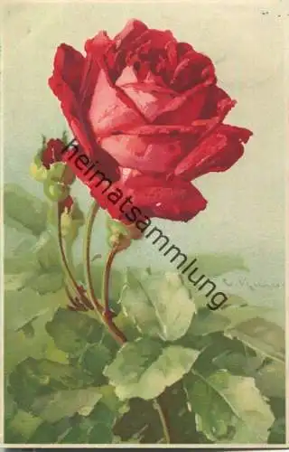 Catharina C. Klein - Rosen - Verlag Meissner & Buch Leipzig Serie 1671 Rosen zum Gruss