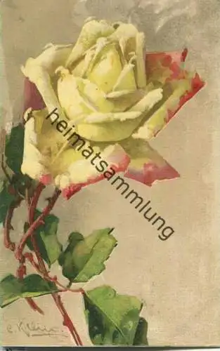 Catharina C. Klein - Rosen - Verlag G. O. M. 1600