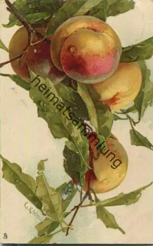 Catharina C. Klein - Pfirsich - Verlag Raphael Tuck & Sons Berlin - Serie Früchte Nr. 381 B