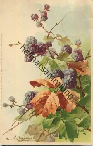 Catharina C. Klein - Brombeeren - Verlag Meissner & Buch Leipzig Serie 1331 Reiche Blüten reiche Frucht