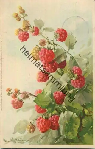 Catharina C. Klein - Himbeeren - Verlag Meissner & Buch Leipzig Serie 1331 Reiche Blüten reiche Frucht