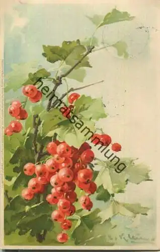 Catharina C. Klein - Johannisbeeren - Verlag Meissner & Buch Leipzig Serie 1331 Reiche Blüten reiche Frucht