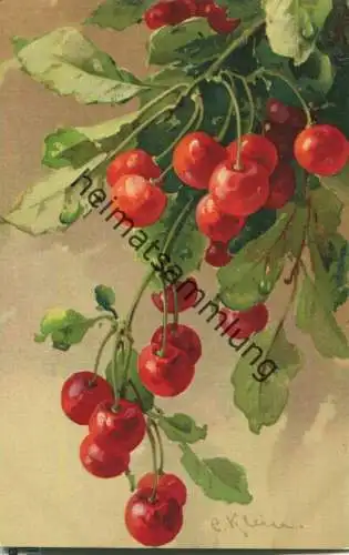 Catharina C. Klein - Kirschen - Verlag G. O. M. 1614