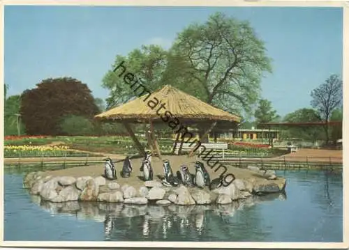 Hamburg - Internationale Gartenbau-Ausstellung 1953 - Pinguinenteich - AK Großformat - Ausstellungsverlag Georg Michel