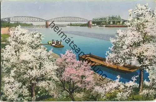 Germersheim - Die sonnige Pfalz in der Blüte - Verlag Hepp Mannheim - Feldpost