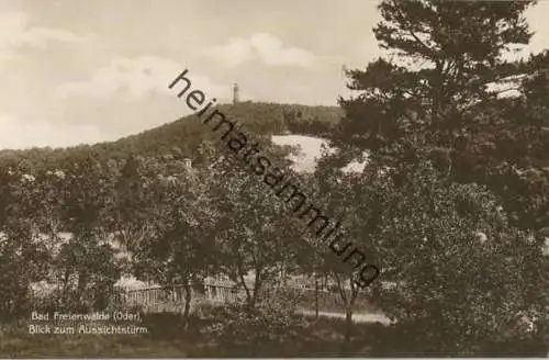 Bad Freienwalde - Blick zum Aussichtsturm - Foto-AK 20er Jahre - Verlag Trinks & Co. GmbH Leipzig