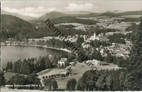 Titisee - Foto-Ansichtskarte - Verlag Erwin Burda Freiburg